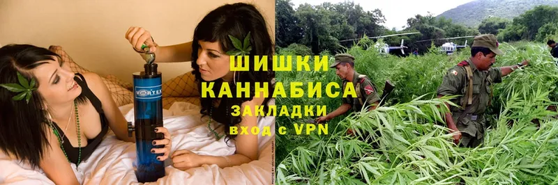 Конопля индика  купить  цена  Короча 